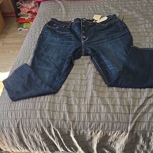 Ana Women's Blue Jeans Nwt Sz 20